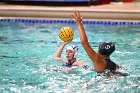 WWPolo @ CC  Wheaton College Women’s Water Polo at Connecticut College. - Photo By: KEITH NORDSTROM : Wheaton, water polo